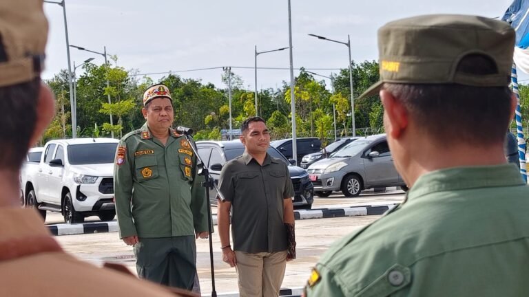 WhatsApp Image 2025-12-29 at 08.42.59