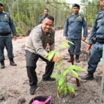 WhatsApp Image 2026-01-02 at 13.27.33