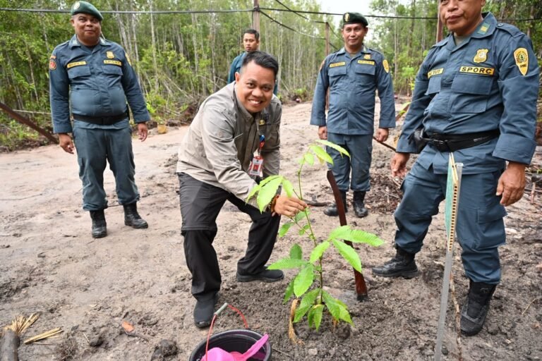 WhatsApp Image 2026-01-02 at 13.27.33