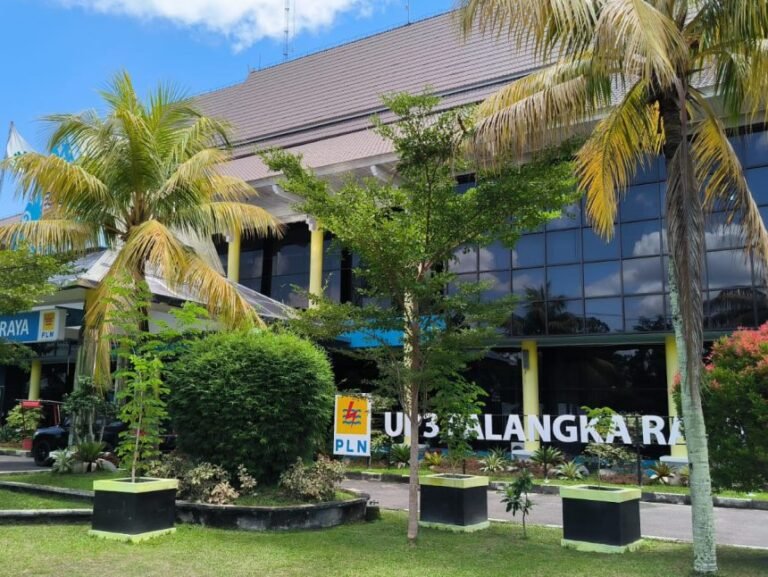 up3-1148x646x144x0x860x646x1729493967