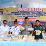 IMG-20260218-WA0094(1)