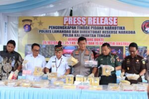 IMG-20260218-WA0094(1)