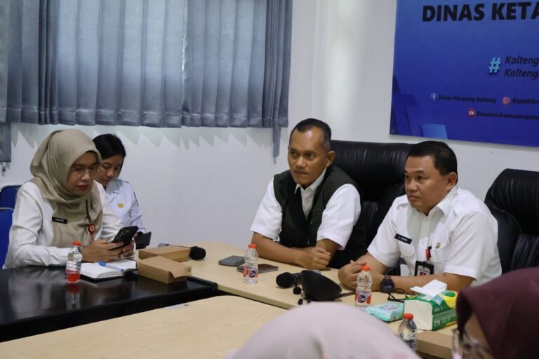 WhatsApp Image 2026-02-04 at 16.38.16