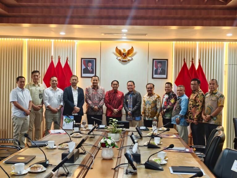 WhatsApp Image 2026-02-04 at 17.11.05