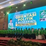 WhatsApp Image 2026-02-16 at 13.22.04