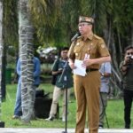 WhatsApp Image 2026-03-31 at 17.21.45