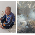 Galeri 2 Gambar