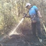 Dalkarhutla Dishut Kalteng Sigap Tangani Dua Karhutla di Palangka Raya, Api di Langkai Padam, Bukit Tunggal Masih Dipantau