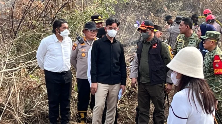 BNPB Sebut Karhutla Kalsel Lebih Terkendali, Kalteng dan Kalbar Masih Jadi Perhatian