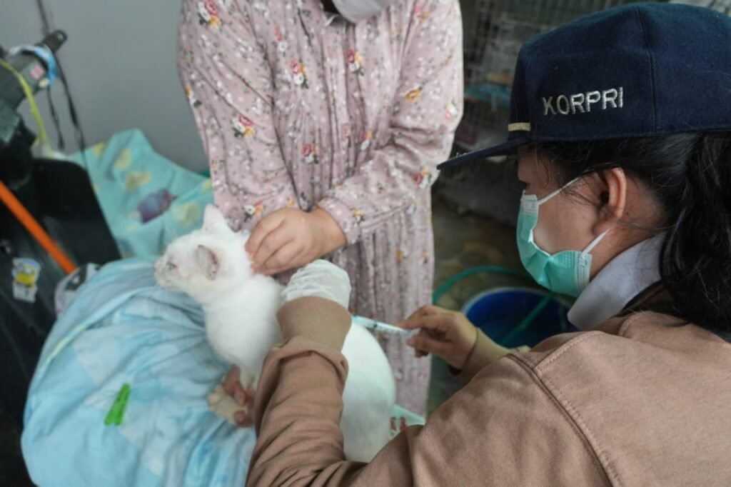 World Rabies Day 2026, Distanketpang Palangka Raya Buka Layanan Vaksin Gratis untuk Anjing dan Kucing