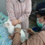 Karhutla di Tahura Isen Mulang Sebangau Berkah, Tim Dishut Kalteng Tempuh 3 Jam Naik Kelotok
