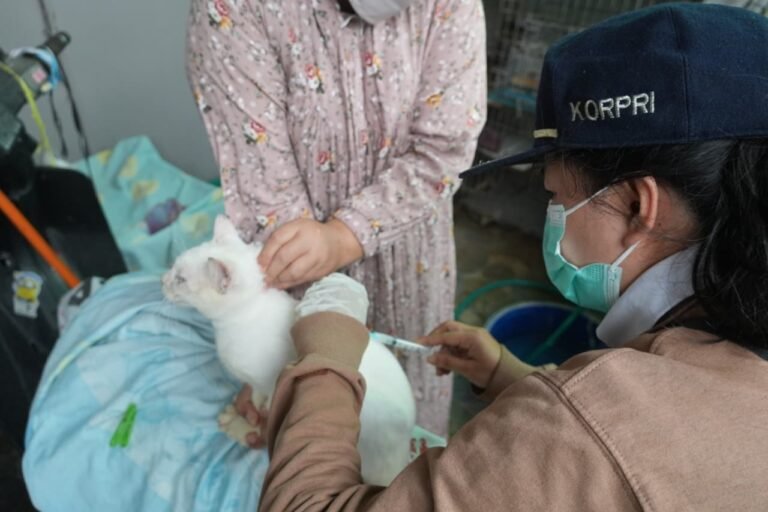 World Rabies Day 2026, Distanketpang Palangka Raya Buka Layanan Vaksin Gratis untuk Anjing dan Kucing