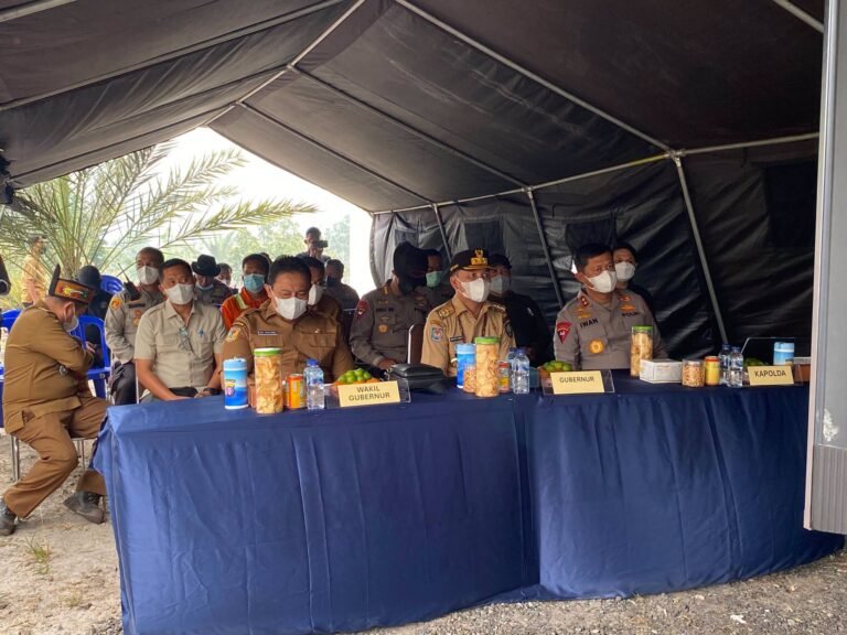 Bukan Sekadar Padamkan Api, Pemerintah Minta Perusahaan Serius Cegah Karhutla