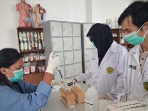 Mahasiswa UPR Sulap Kayu Tumih dan Daun Putat Jadi Bedak Dingin untuk Kulit Berminyak