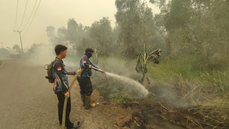 Karhutla di Bantanan Belum Sepenuhnya Padam, Tim Dishut Kalteng Terus Lakukan Penanganan