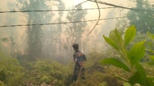 Tujuh Jam Berjibaku, Tim Dalkarhutla Padamkan Karhutla di TWA Galeget Tiawu
