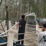 Udara Belum Aman, Siswa Palangka Raya Kembali Belajar dari Rumah