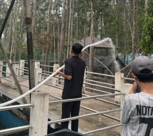 Dishut Kalteng Perkuat Patroli di Taman Hutan Kota Nyaru Menteng