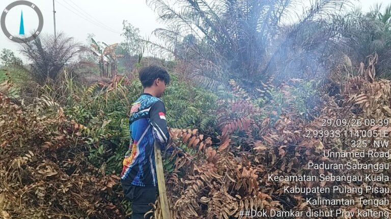 Hujan Bantu Penanganan Karhutla di Sebangau Kuala, Tim Tetap Lakukan Pendinginan