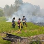 Hujan Bantu Penanganan Karhutla di Sebangau Kuala, Tim Tetap Lakukan Pendinginan