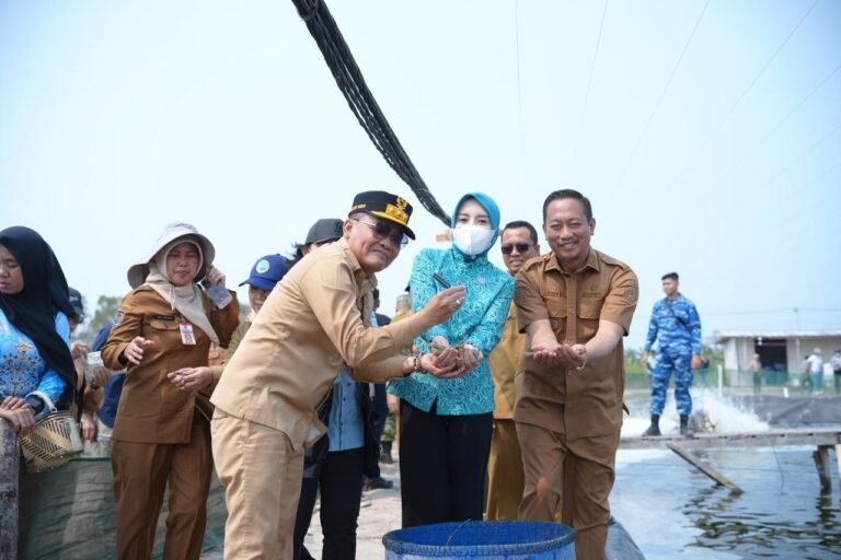 Dari Tambak Sukamara, Udang Vaname Diproyeksi Sumbang Rp32 Miliar untuk Kalteng