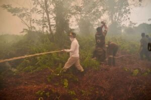 Gubernur Agustiar Turun ke Titik Api, Ekskavator Diminta Segera Buka Kanal di Kobar