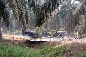 Geger! Benda Logam 6 Meter Muncul di Kebun Sawit Kotim, Ternyata Puing Roket China