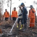 Demo Jilid VII, Ribuan Bangkai Ayam Dibawa ke Kantor PLN Palangka Raya