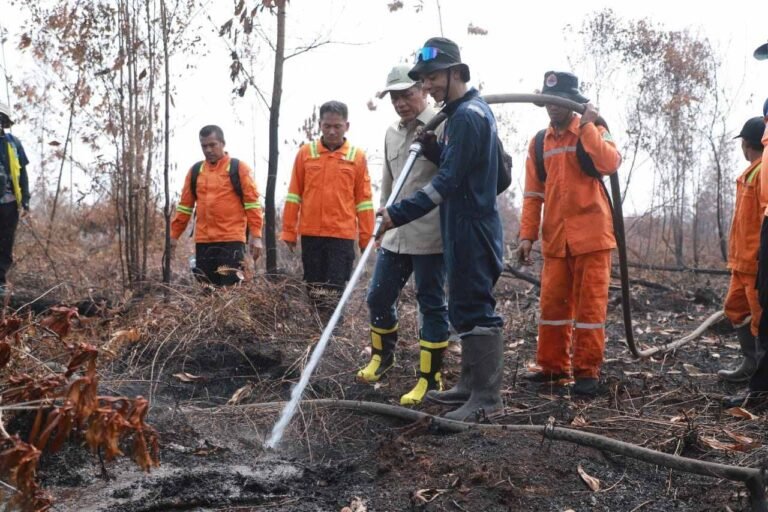 175 Regu Dikerahkan, Karhutla Palangka Raya Ditargetkan Beres Dua Pekan