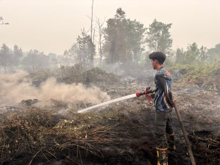 Asap Masih Muncul dari Gambut, Tim Dalkarhutla Lakukan Pendinginan