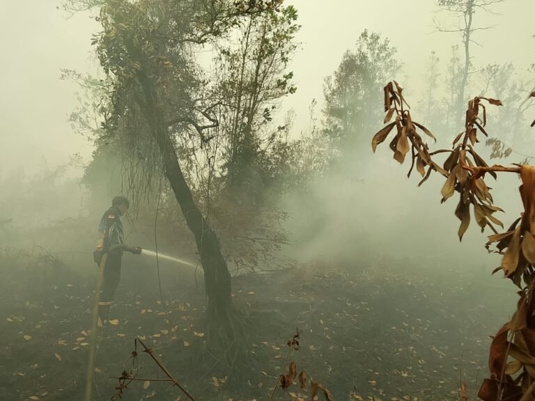 Tim Dalkarhutla Padamkan Karhutla di Tanjung Taruna, Api Masih Sisakan Kepulan Asap