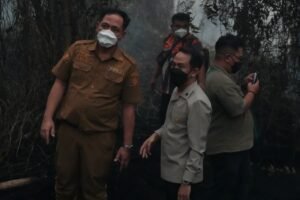 Fairid Naparin Turun ke Lokasi Karhutla Jalan Merdeka, 8 Regu Berjibaku Hadapi Api di Lahan Gambut