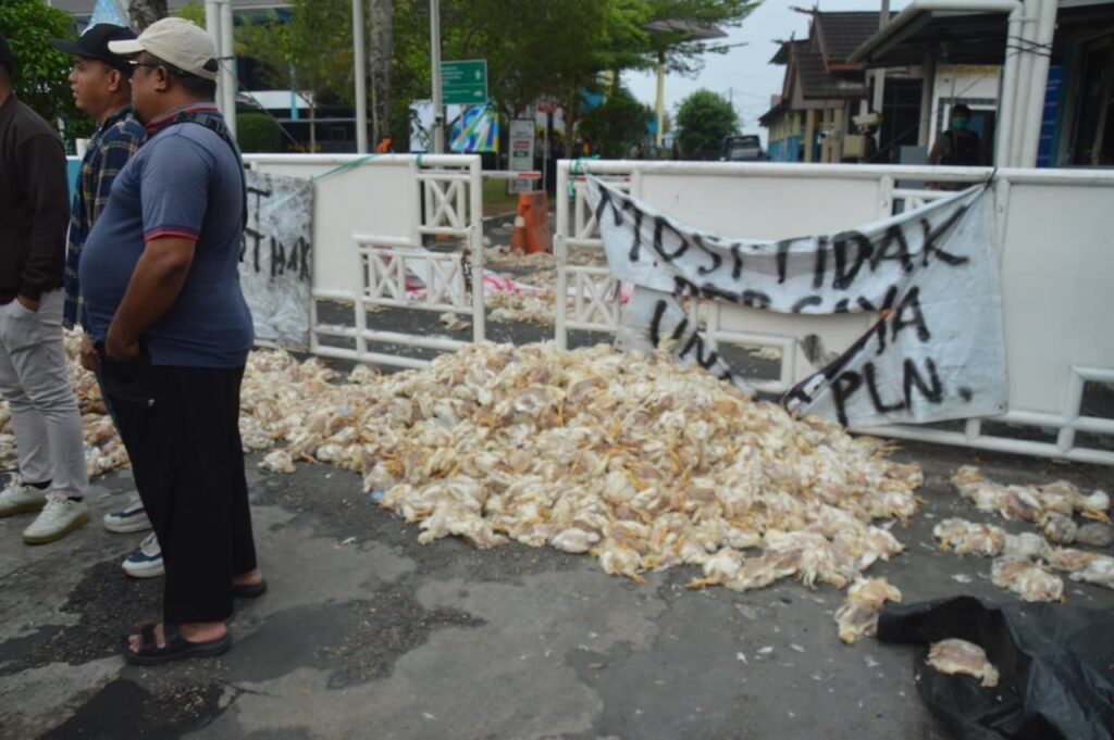 Demo Jilid VII, Ribuan Bangkai Ayam Dibawa ke Kantor PLN Palangka Raya