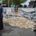 175 Regu Dikerahkan, Karhutla Palangka Raya Ditargetkan Beres Dua Pekan